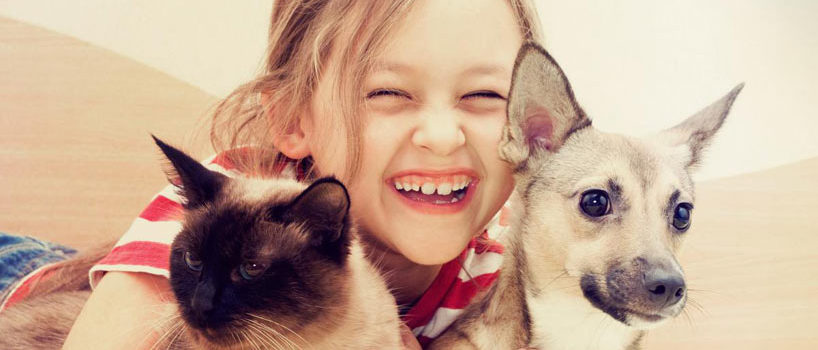 Allergi mod kæledyr – forholdsregler behandling